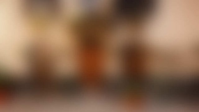 Hidden impressions of Venice